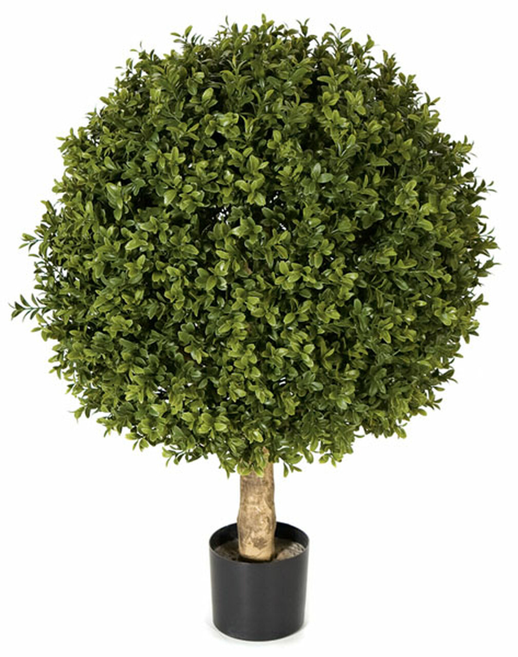 24 Inch Artificial Ultraviolet (UV) Boxwood Ball Topiary